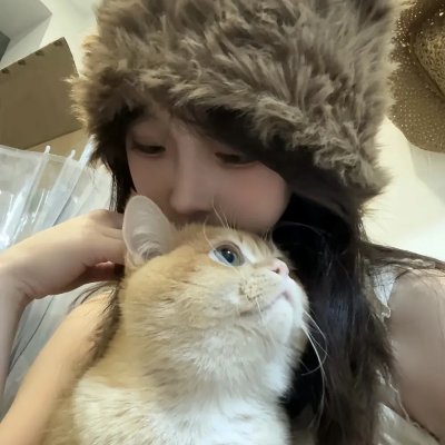 理想家